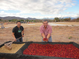 Finca Liquidambar - Guatemala