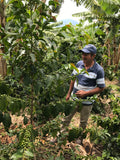 San Sebastian, Colombia - Medium Roast