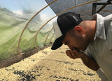 San Sebastian, Colombia - Medium Roast